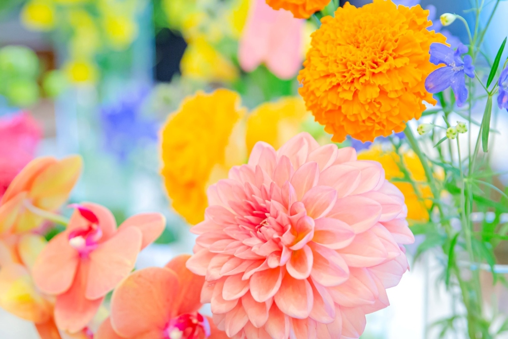 【マタニティ挙式】*おめでた婚プラン*　30名様＜1日1組限定＞